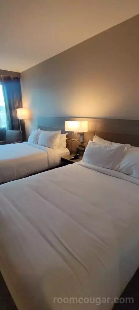Guest Room, 2 Queen bed picture #9