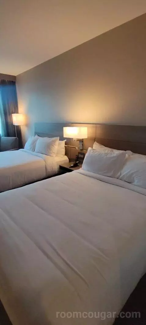 Guest Room, 2 Queen bed picture #10