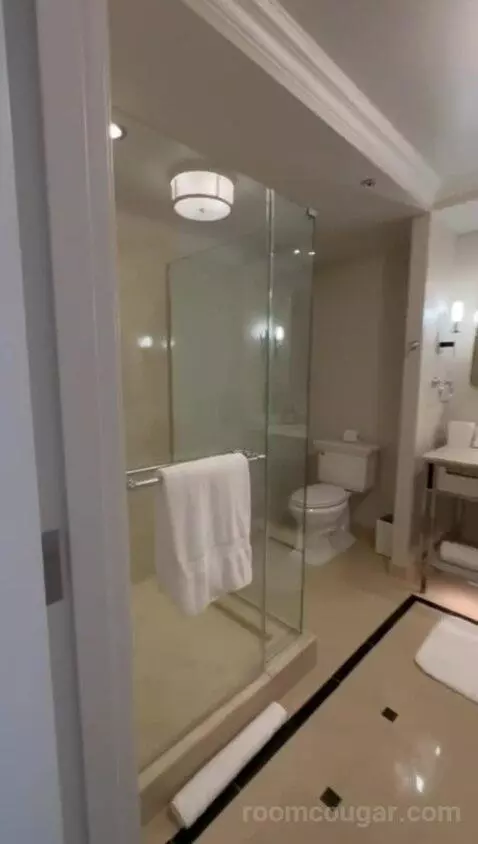 Deluxe Suite with Two Queen Beds - Fireworks View bathroom picture #1