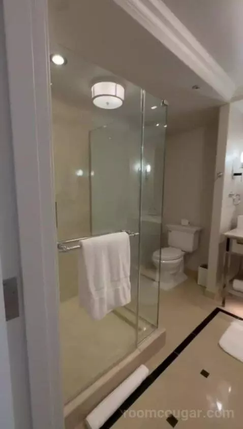 Deluxe Suite with Two Queen Beds - Fireworks View bathroom picture #2