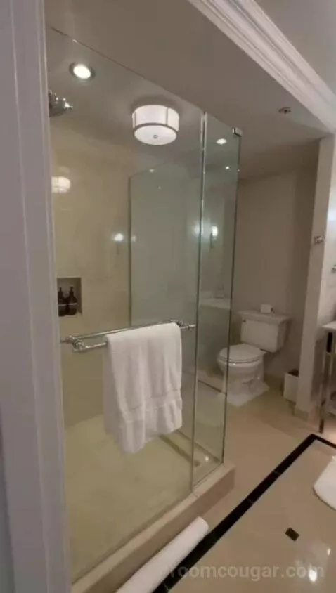 Deluxe Suite with Two Queen Beds - Fireworks View bathroom picture #3