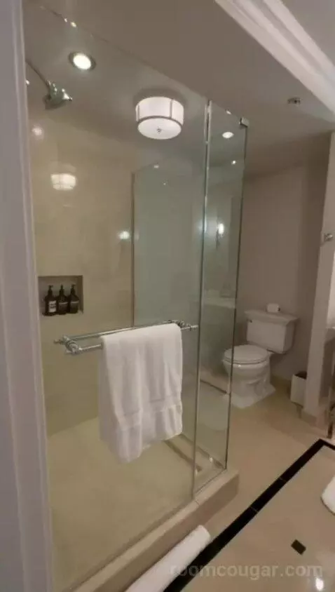 Deluxe Suite with Two Queen Beds - Fireworks View bathroom picture #4