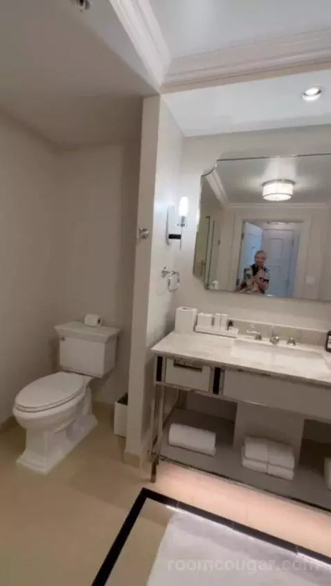 Deluxe Suite with Two Queen Beds - Fireworks View bathroom picture #7