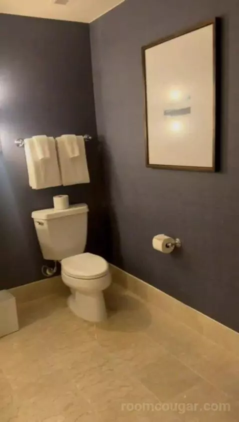 Premium Garden Suite (#163) bathroom picture #1