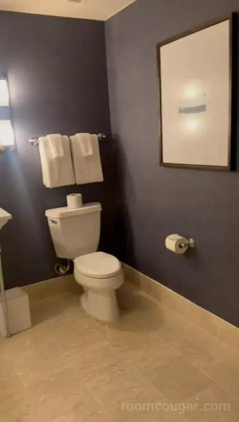 Premium Garden Suite (#163) bathroom picture #2
