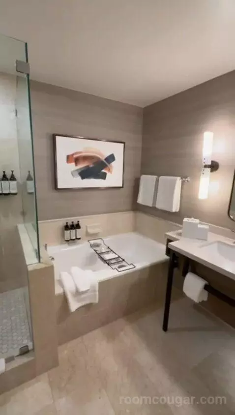 Premium Garden Suite (#163) bathroom picture #9