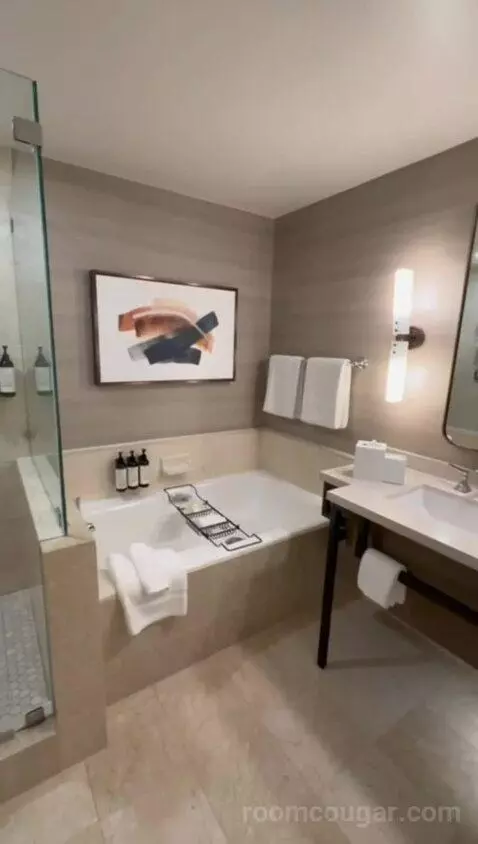 Premium Garden Suite (#163) bathroom picture #10