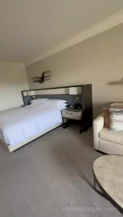 King Room with Coastal View bed picture #1