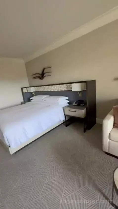 King Room with Coastal View bed picture #4