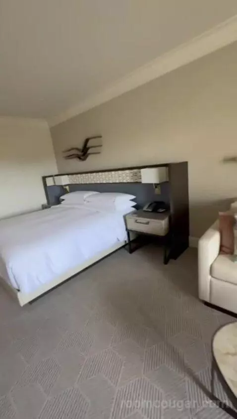 King Room with Coastal View picture #12
