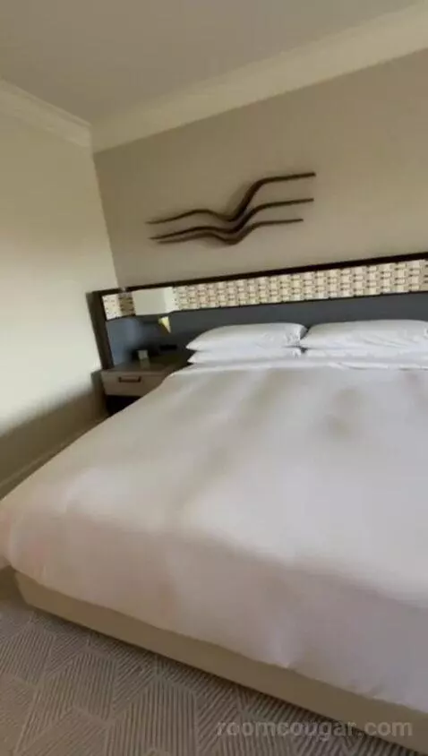King Room with Coastal View bed picture #6