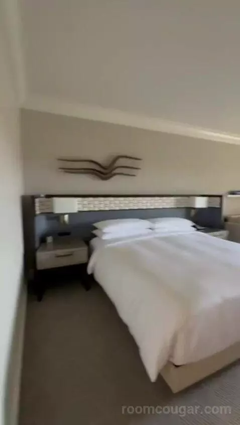 King Room with Coastal View bed picture #9