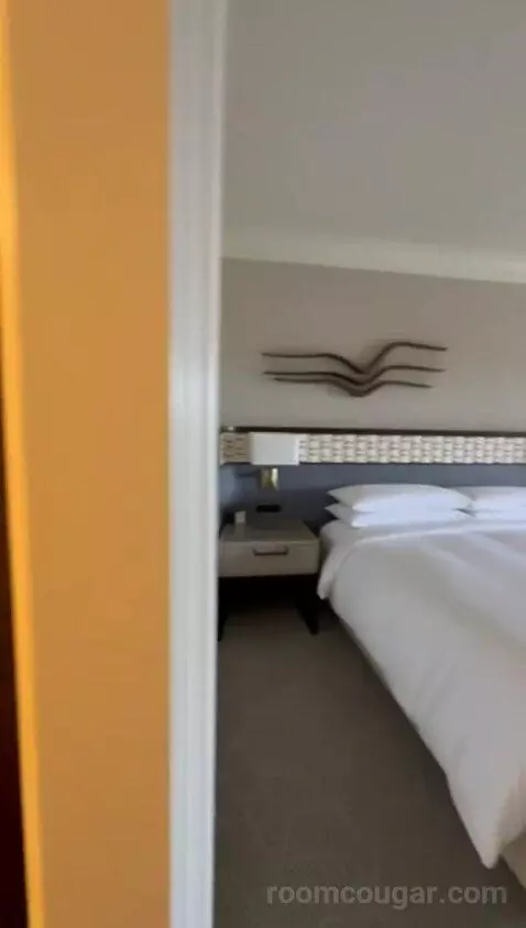King Room with Coastal View bed picture #12