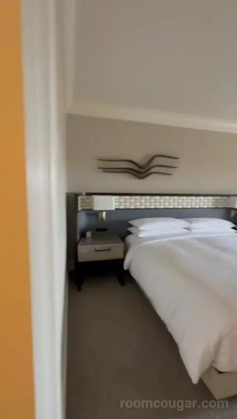 King Room with Coastal View picture #15