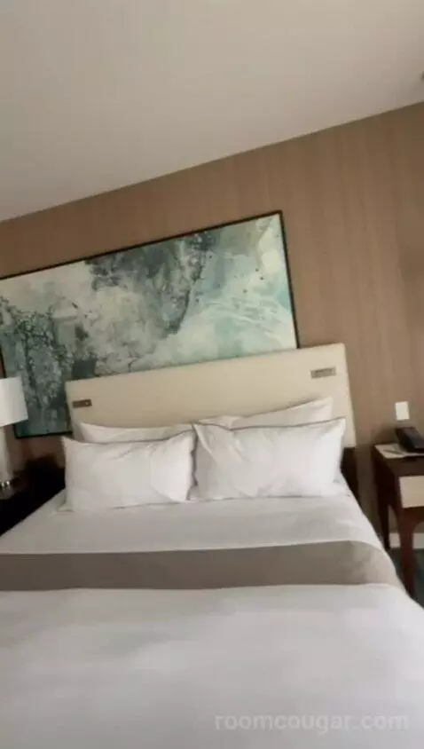 Junior Suite, 1 Bedroom Junior Suite, Coastline View (#311) bed picture #5