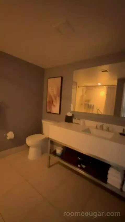 Executive, 1 Bedroom Executive Suite, Balcony (#1101) bathroom picture #4