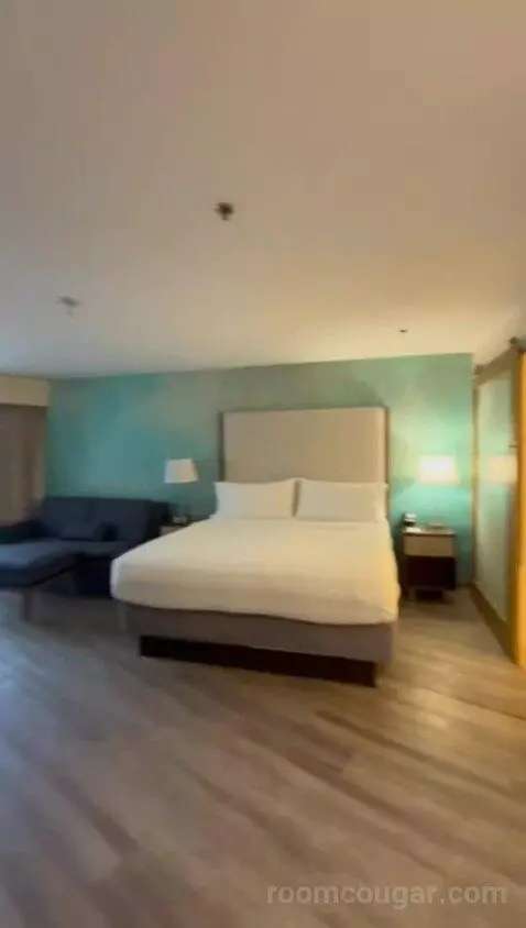 King Room with Sofa Bed (#100) bed picture #1