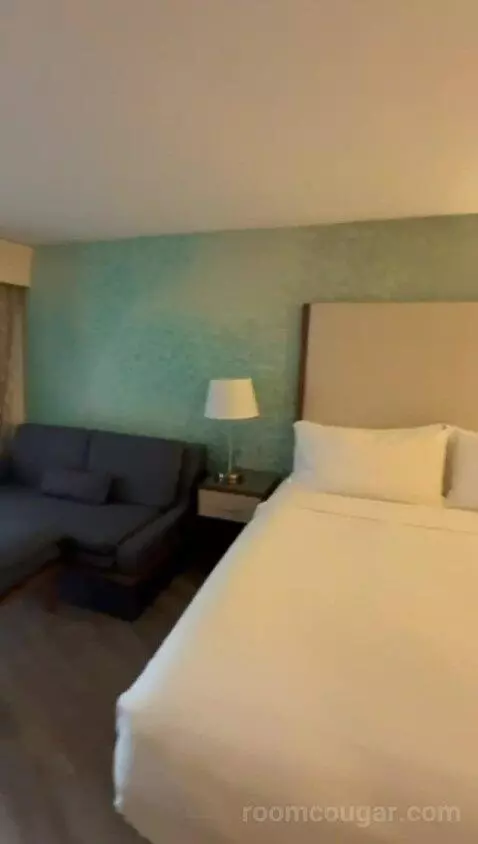 King Room with Sofa Bed (#100) bed picture #12