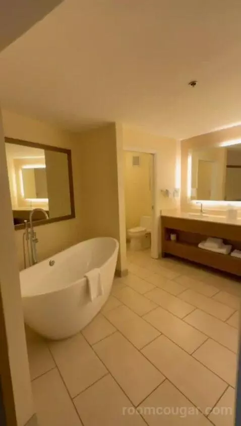 King Room with Sofa Bed (#100) bathroom picture #5