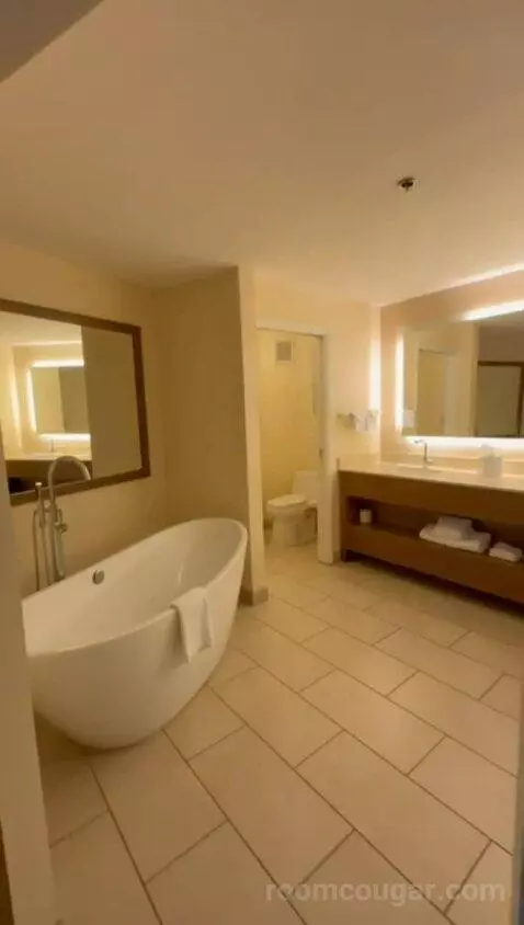 King Room with Sofa Bed (#100) bathroom picture #6
