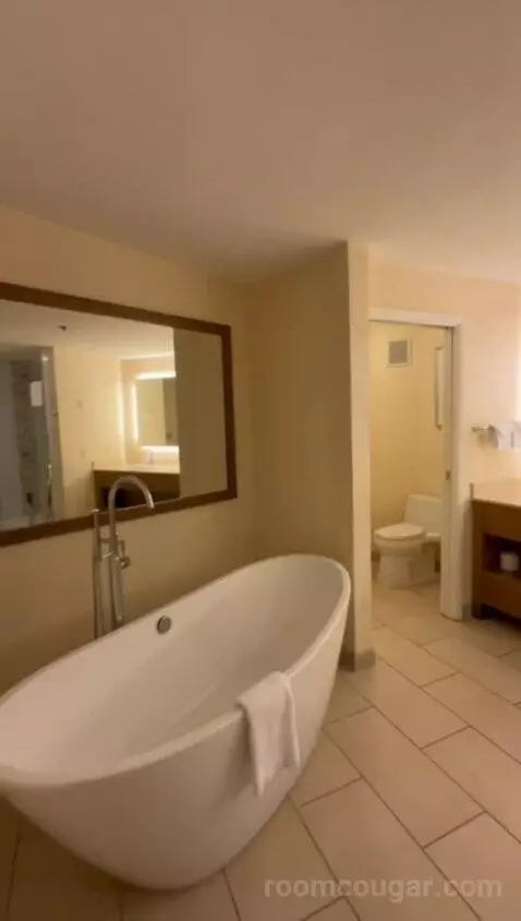 King Room with Sofa Bed (#100) bathroom picture #11