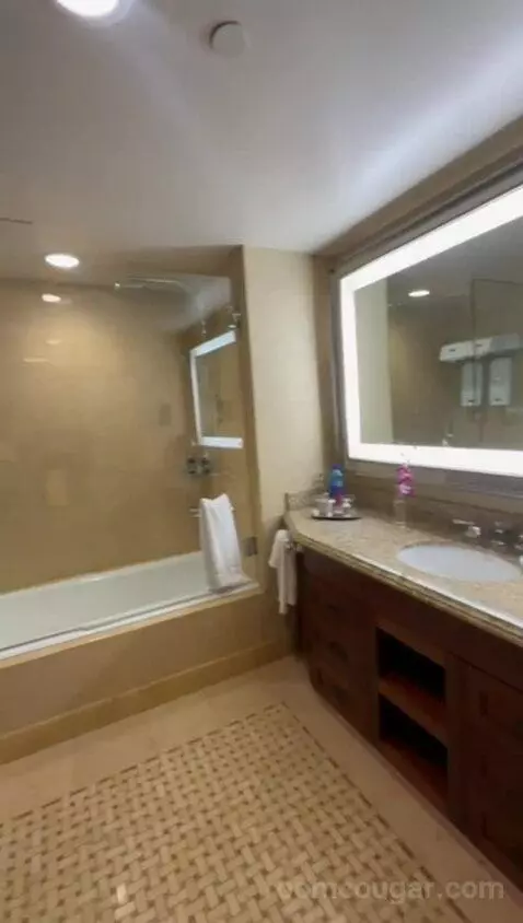 Preferred Signature King (#312) bathroom picture #6