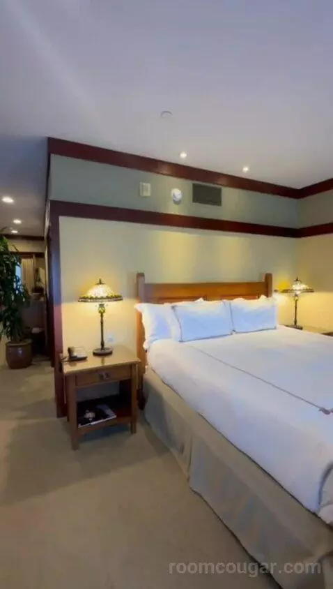 Robinson Suite (#104) bed picture #6