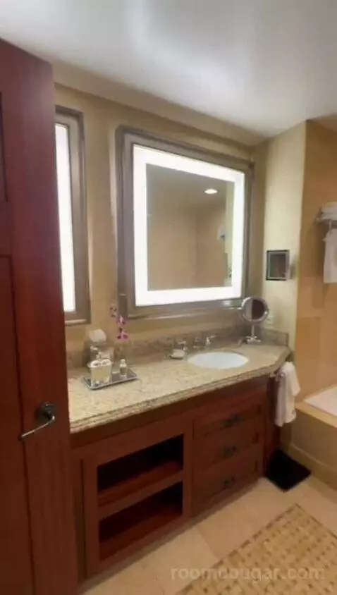 Robinson Suite (#104) bathroom picture #7
