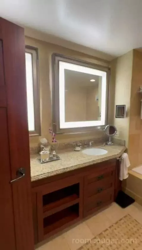 Robinson Suite (#104) bathroom picture #8