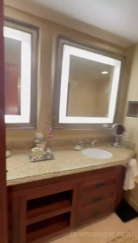 Robinson Suite (#104) bathroom picture #11