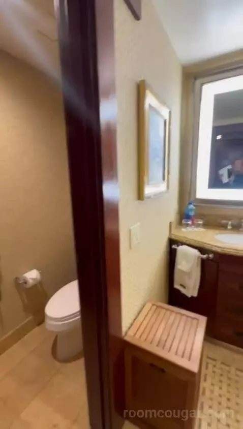 Palisade King (#311) bathroom picture #2