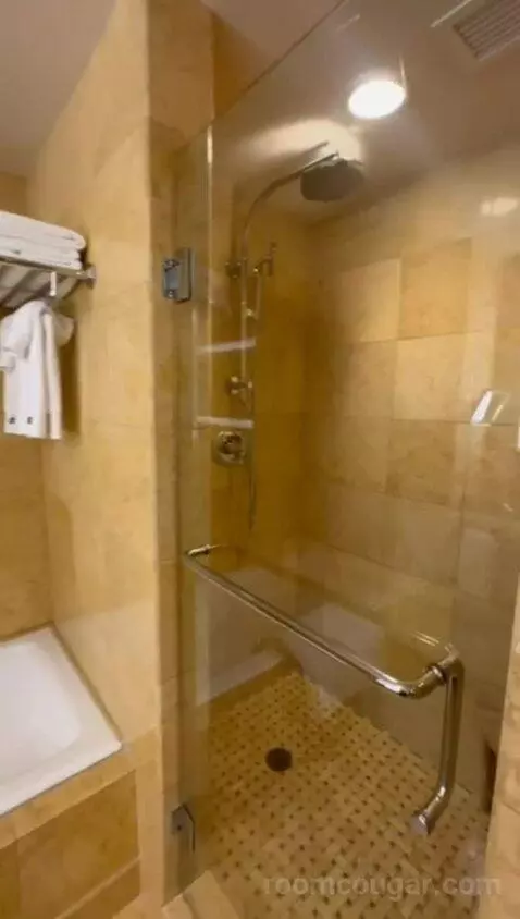 Palisade King (#311) bathroom picture #4