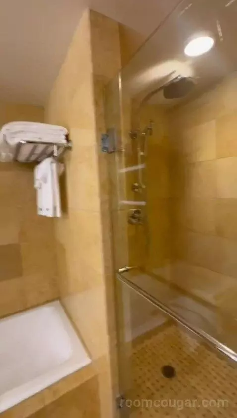 Palisade King (#311) bathroom picture #5