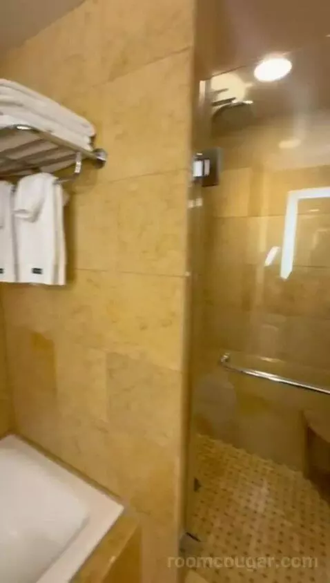 Palisade King (#311) bathroom picture #11