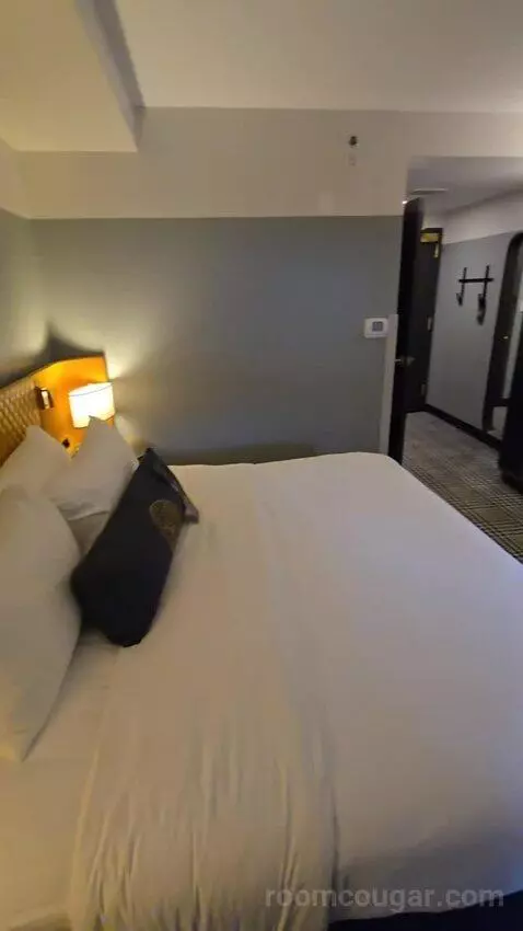 Standard, Guest Room, 1 King (#146) bed picture #1