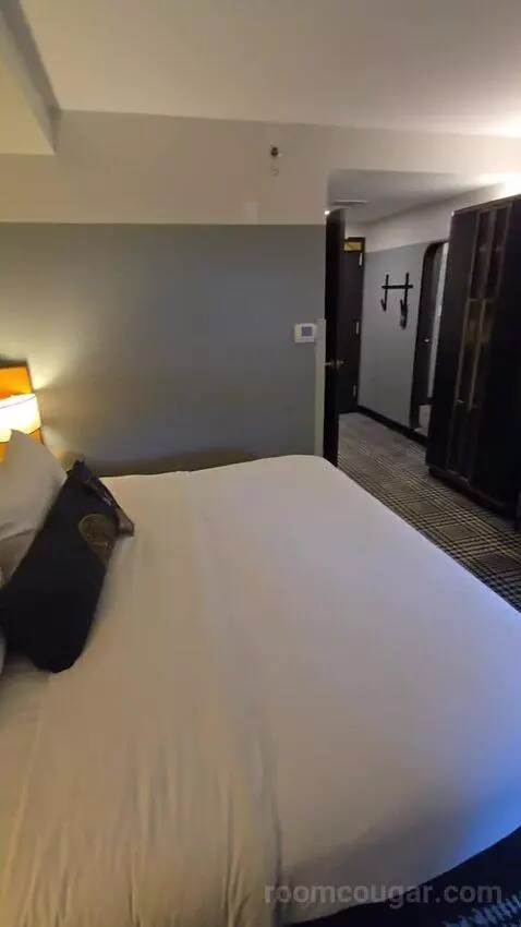 Standard, Guest Room, 1 King (#146) bed picture #3