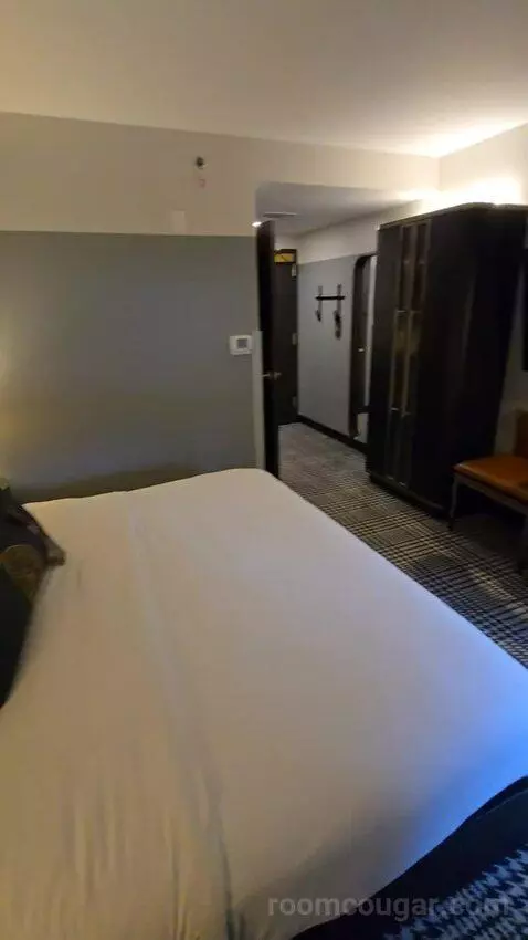 Standard, Guest Room, 1 King (#146) bed picture #5