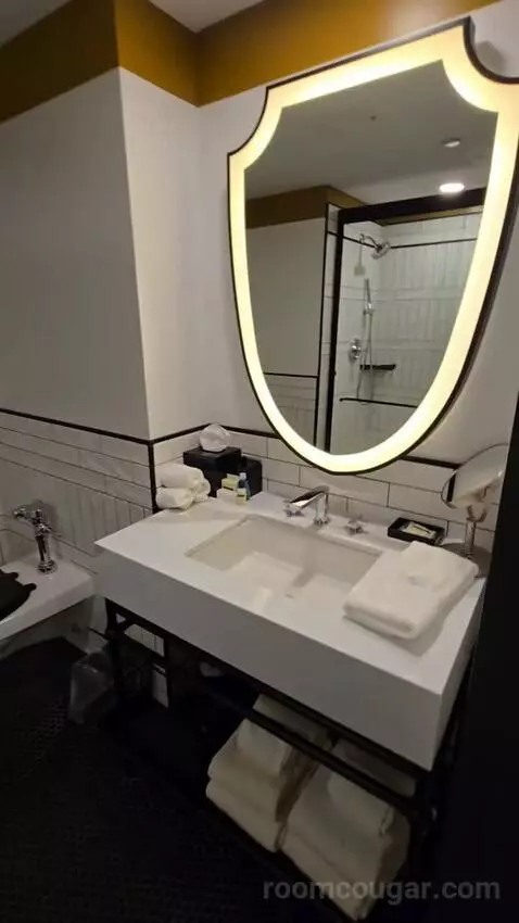 Standard, Guest Room, 1 King (#146) bathroom picture #4