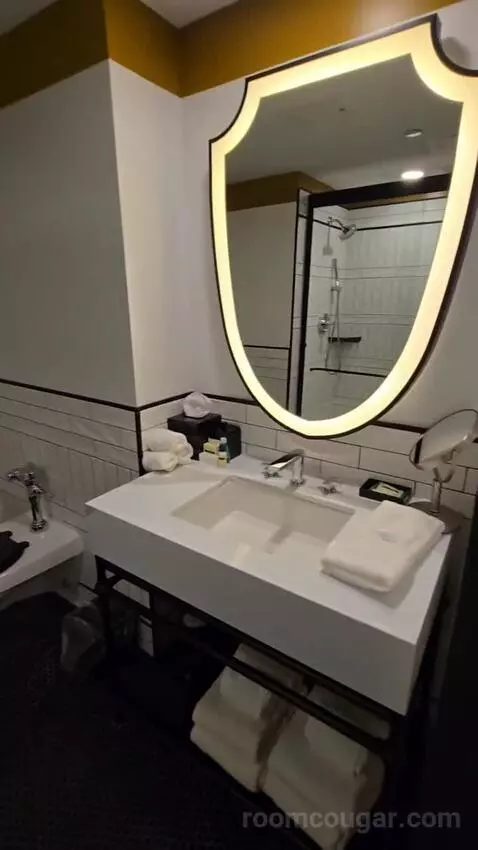 Standard, Guest Room, 1 King (#146) bathroom picture #5