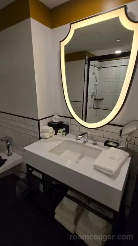 Standard, Guest Room, 1 King (#146) bathroom picture #6