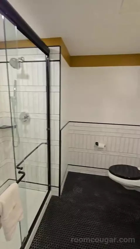 Standard, Guest Room, 1 King (#146) bathroom picture #7