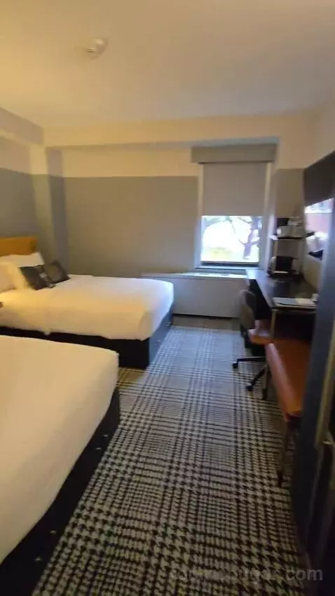 Standard, Guest Room, 2 Twin (#156) bed picture #1