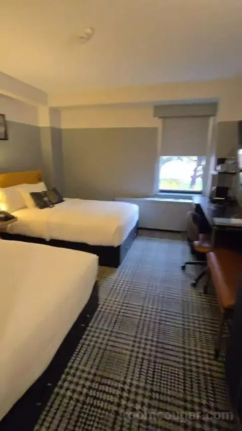 Standard, Guest Room, 2 Twin (#156) bed picture #2
