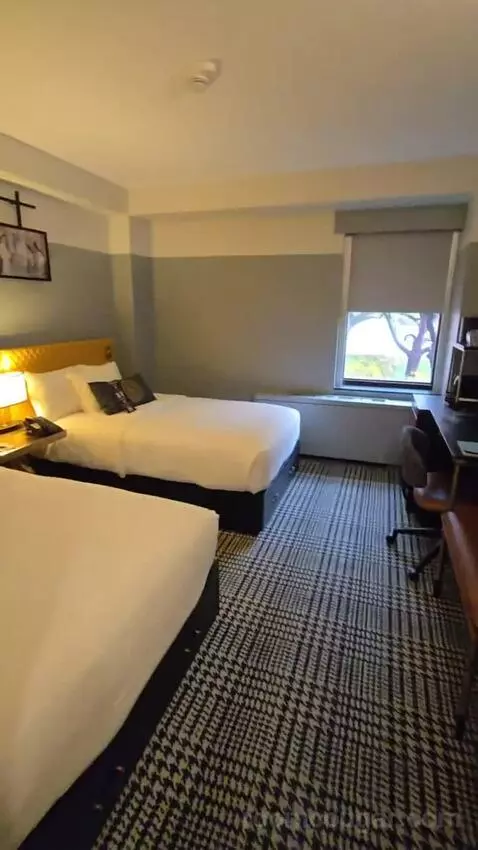 Standard, Guest Room, 2 Twin (#156) bed picture #3