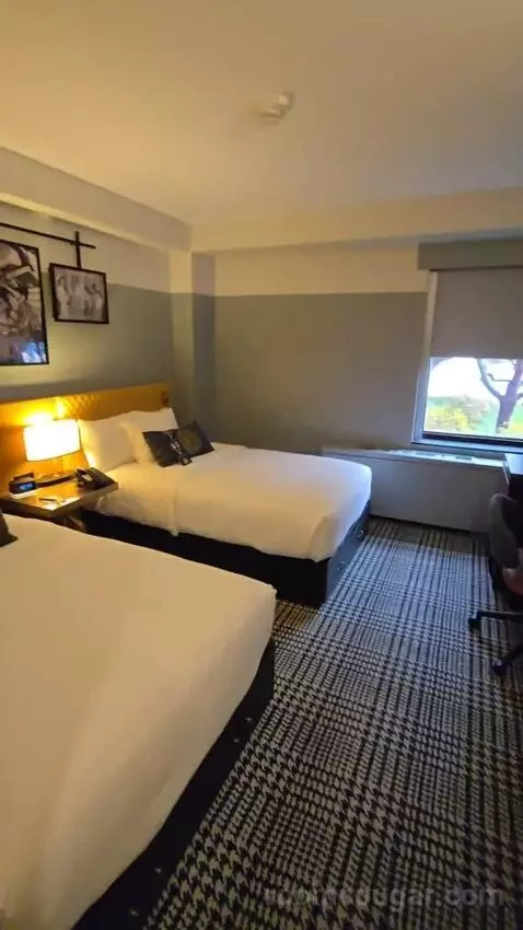 Standard, Guest Room, 2 Twin (#156) bed picture #5
