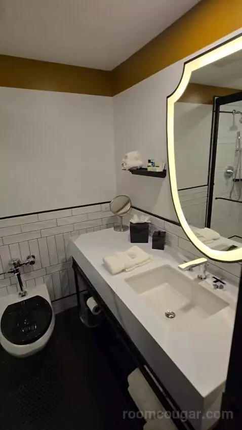 Standard, Guest Room, 2 Twin (#156) bathroom picture #3