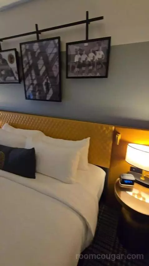 Junior Suite, One King, Sofa Bed (#176) bed picture #1