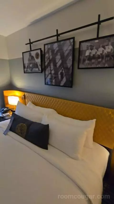 Junior Suite, One King, Sofa Bed (#176) bed picture #5