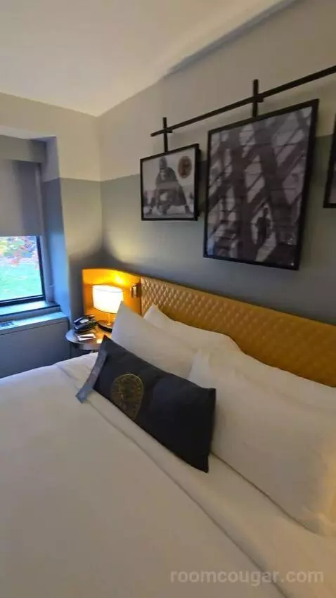 Junior Suite, One King, Sofa Bed (#176) bed picture #8