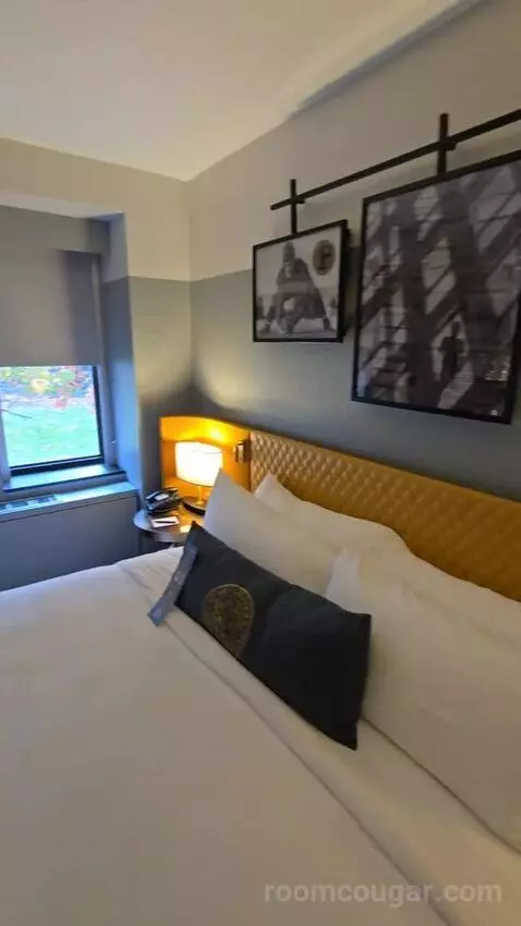 Junior Suite, One King, Sofa Bed (#176) bed picture #9
